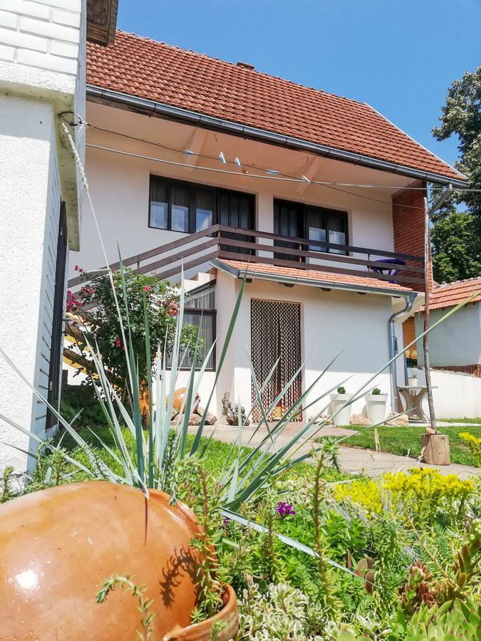 Rtanjski Konak Boljevac エクステリア 写真